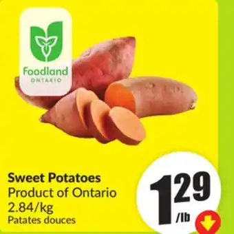 FreshCo Sweet Potatoes Product of Ontario 2.84/kg offer