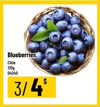 Mayrand Blueberries offer