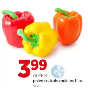 Avril Poivrons trois couleurs bios offer