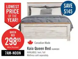 The Brick Kaia Panel Bed, Whitewash - Queen Size offer