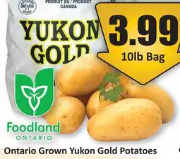 Starsky Ontario Grown Yukon Gold Potatoes offer