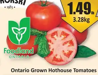 Starsky Ontario Grown Hothouse Tomatoes offer