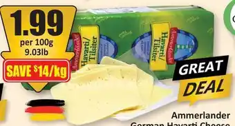 Starsky Ammerlander German Havarti Cheese offer