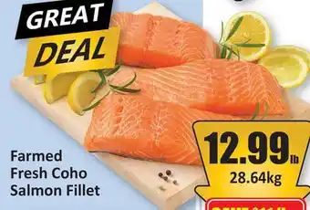 Starsky Farmed Fresh Coho Salmon Fillet offer