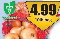 Starsky Ontario Grown Cooking Onions offer