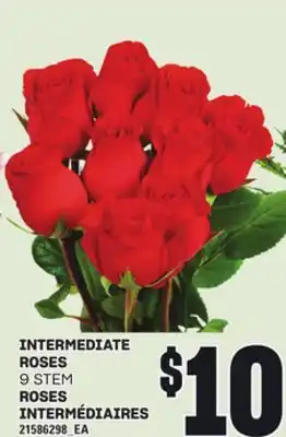 Independent City Market INTERMEDIATE ROSES, 9 STEM offer