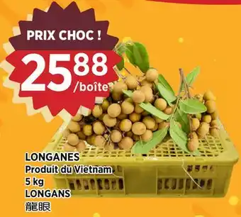 Kim Phat LONGANS offer