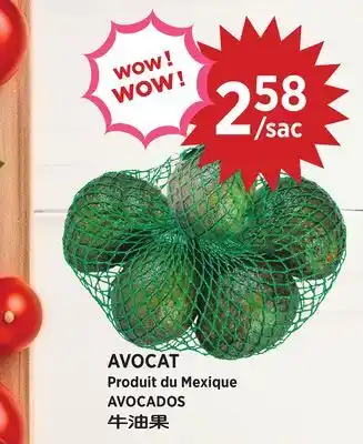 Kim Phat AVOCADOS offer