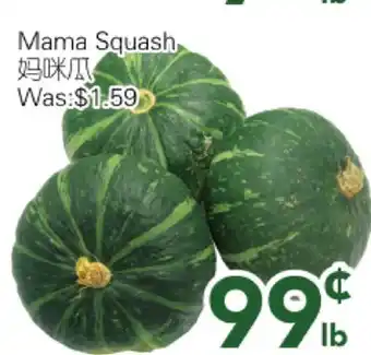 Ample Food Market Mama Squash offer