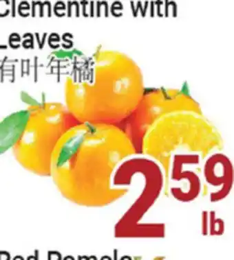 Oceans Fresh Food Market Clementine With Leaves offer