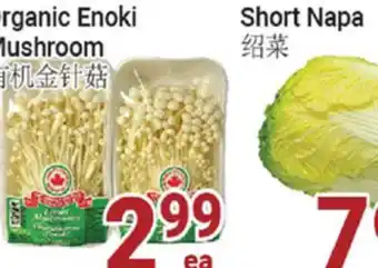 Oceans Fresh Food Market Organic Enoki Mushroom offer