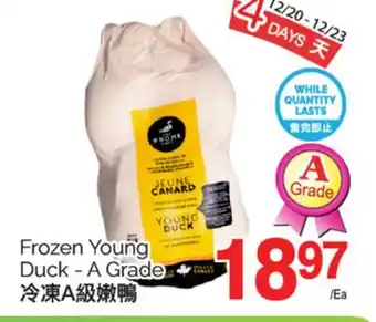 T&T Supermarket Frozen Young Duck- A Grade offer