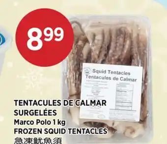 Kim Phat Marco Polo FROZEN SQUID TENTACLES offer