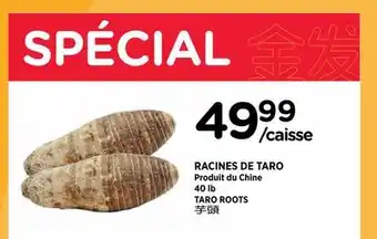 Kim Phat TARO ROOTS offer