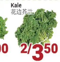 Oceans Fresh Food Market Kale offer