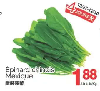 T&T Supermarket ÉPINARD CHINOIS offer