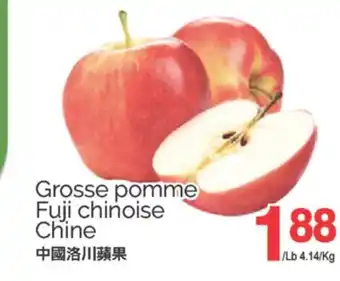 T&T Supermarket GROSSE POMME FUJI CHINOISE offer