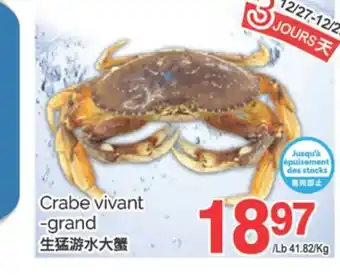 T&T Supermarket CRABE VIVANT - GRAND offer