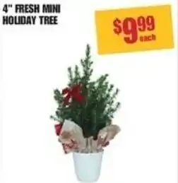 Shoppers Drug Mart 4" fresh mini holiday tree offer
