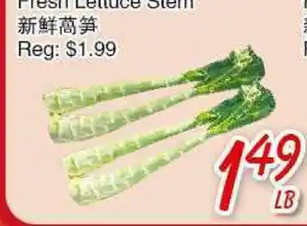 Foody Mart Fresh Lettuce Stem offer