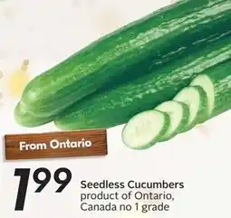 Sobeys Seedless Cucumbers offer