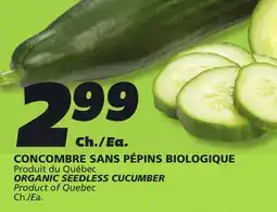 IGA ORGANIC SEEDLESS CUCUMBER offer