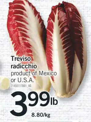 Fortinos TREVISO RADICCHIO offer