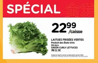 Kim Phat GREEN CURLY LETTUCES offer