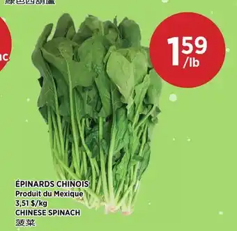 Kim Phat CHINESE SPINACH offer