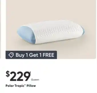 Sleep Country Polar Tropic Pillow offer