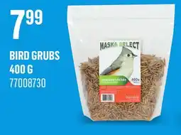 Canac Bird Grubs 400 g offer