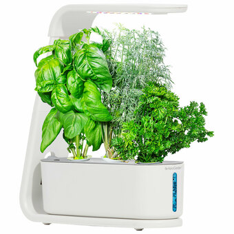 Best Buy AeroGarden Sprout Hydroponic Garden System - White offer