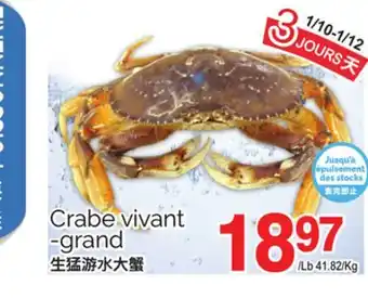 T&T Supermarket CRABE VIVANT -GRAND offer