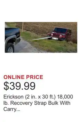 Costco Erickson (2 in. x 30 ft.) 18,000 lb. Recovery Strap Bulk With Carry Bag offer