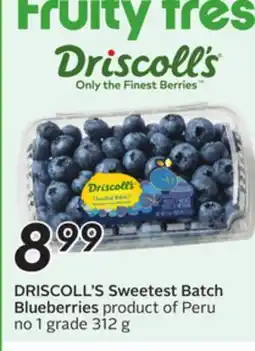 Sobeys DRISCOLL'S Sweetest Batch Blueberries offer