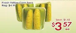 Sunny Food Mart Fresh Yellow Corn offer