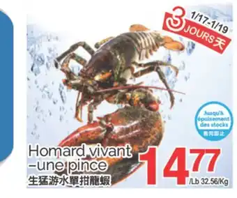 T&T Supermarket HOMARD VIVANT-UNE PINCE offer