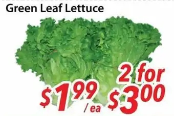 Bestco Food Mart Green Leaf Lettuce offer