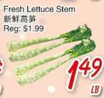 Foody Mart Fresh Lettuce Stem offer