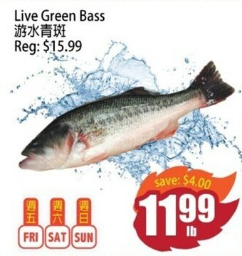 Field Fresh Supermarket Live green bass offer