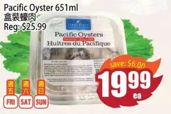 Pacific oyster 651ml