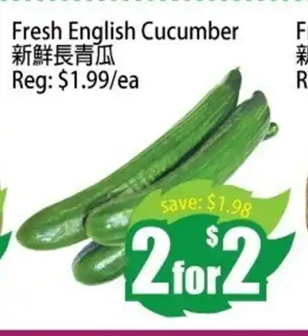 Fresh English Cucumber