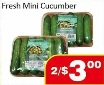 Jian Hing Supermarket Fresh Mini Cucumber offer