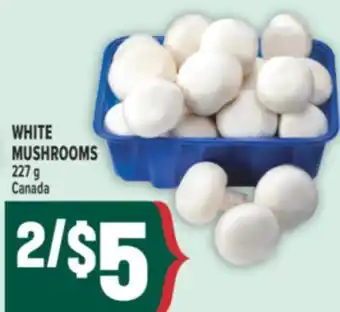 Marché Adonis WHITE MUSHROOMS offer