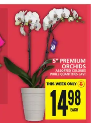 Food Basics 5 PREMIUM ORCHIDS offer