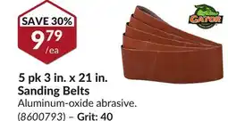 Princess Auto 5 pk 3 in. x 21 in. Sanding Belts offer