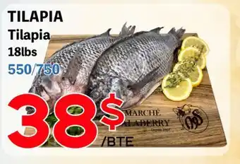 Marche Salaberry TILAPIA offer