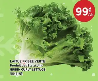 Kim Phat GREEN CURLY LETTUCE offer