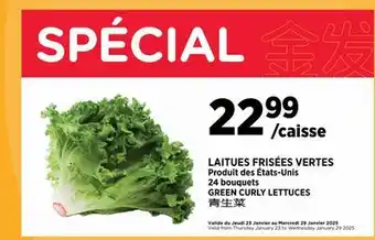 Kim Phat GREEN CURLY LETTUCES offer