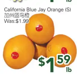 Ample Food Market California Blue Jay Orange (S) offer